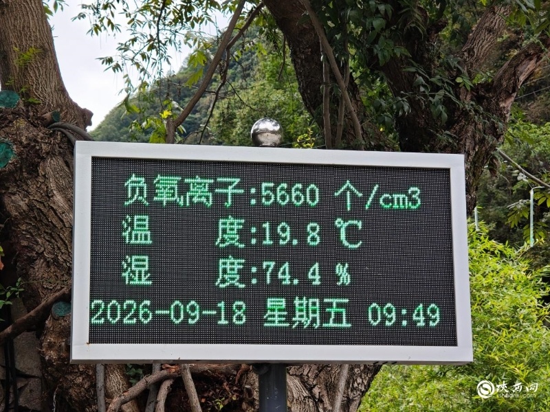 一条高铁和一座山的“君子协定”5