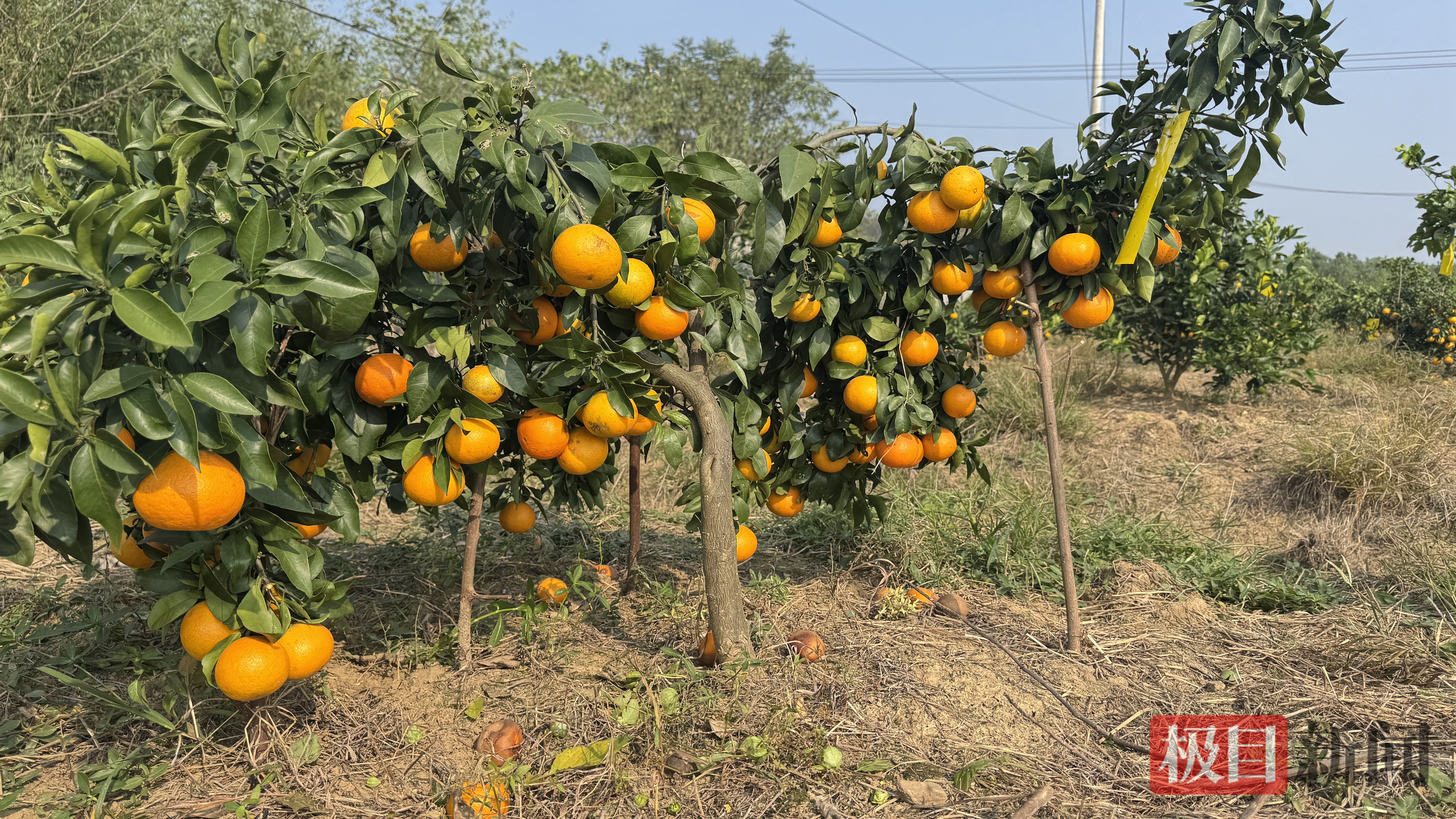 94e443c78dad0ac83e3e5b493f844355.jpg