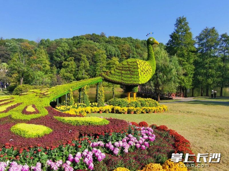 秋景这边独好。