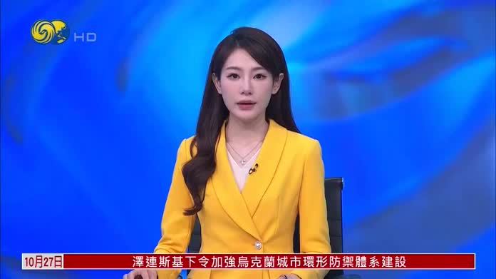 埃及议会同意向沙特提供防卫性军事支持 埃及总统：采取一切必要措施防卫沙特