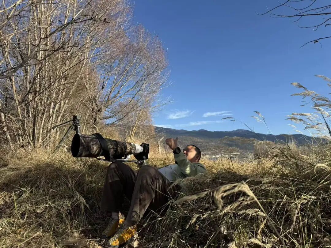 小卡正在打鸟 受访者供图