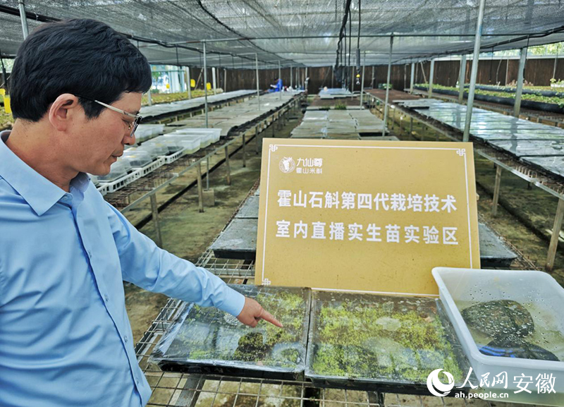 戴亚峰介绍直播育苗模式让种子直接在原生境萌发、成活。人民网记者 周坤摄