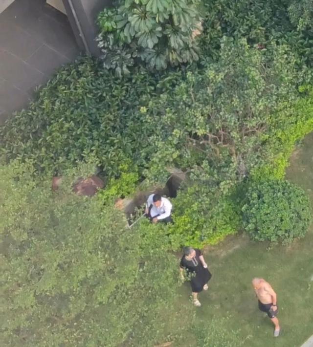 涉事深井