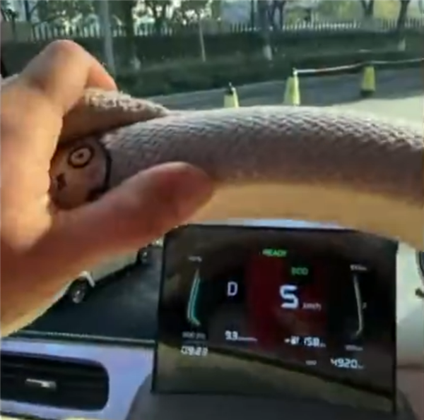 女车主买知豆电动车故障不断:踩电门不走、遮阳板脱落 4S店还关门了