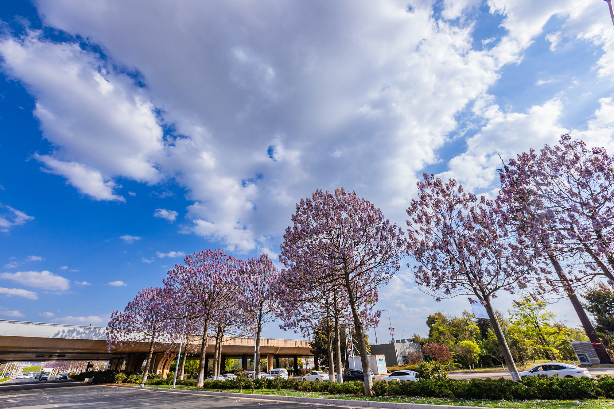 2026年3月19日，云南昆明街景