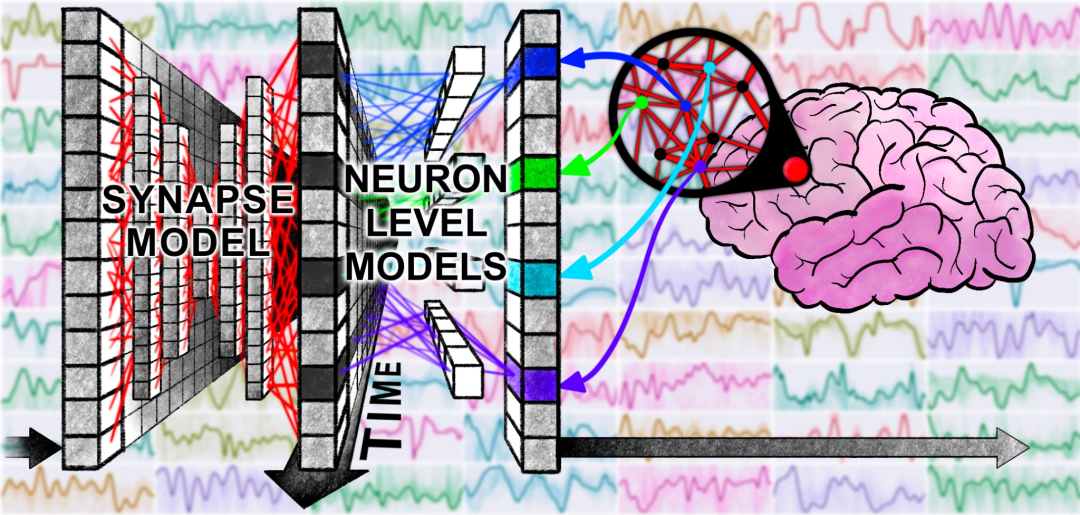 传送门：https://sakana.ai/ctm/