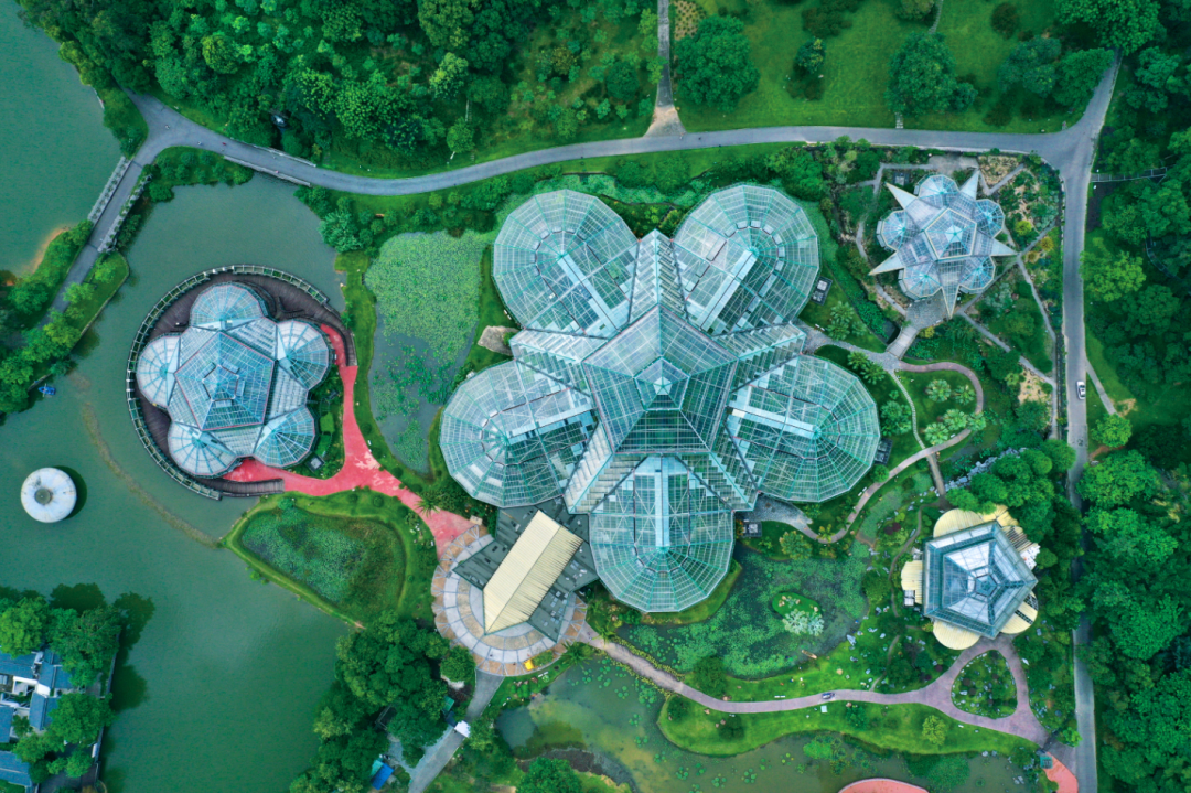 植物园.png