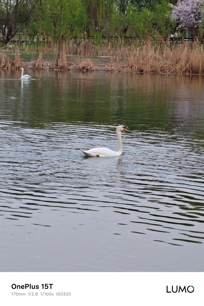小屏不妥协配置反升级！一加15T手机深度评测：小巧玲珑的满血性能旗舰
