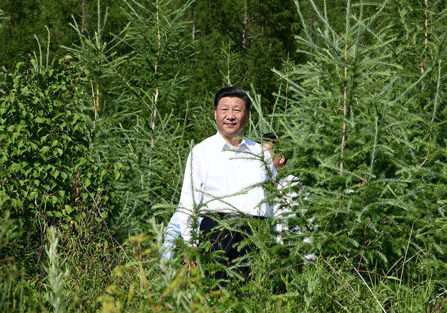 2019年7月15日，习近平总书记在内蒙古赤峰市喀喇沁旗马鞍山林场了解生态文明建设情况。新华社记者 谢环驰 摄