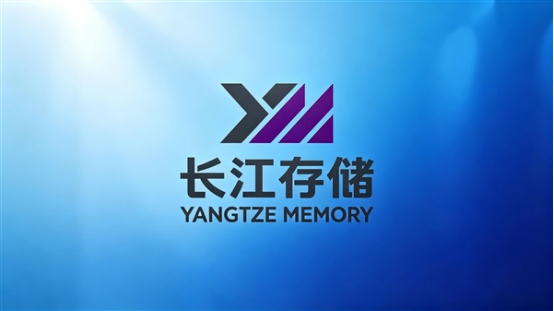 反击成功!长江存储德国专利战获胜:美光被禁售