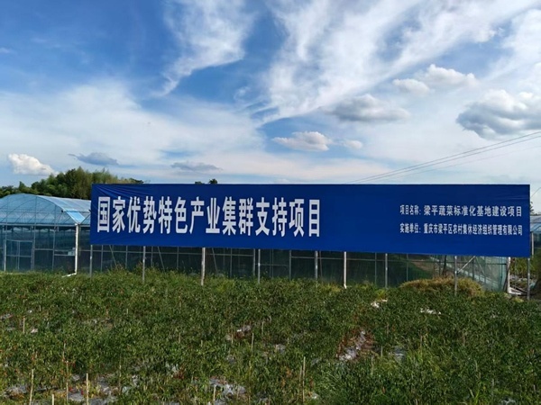 国家优势特色产业集群支持的梁平蔬菜标准化基地建设项目。梁平区农业农村委供图