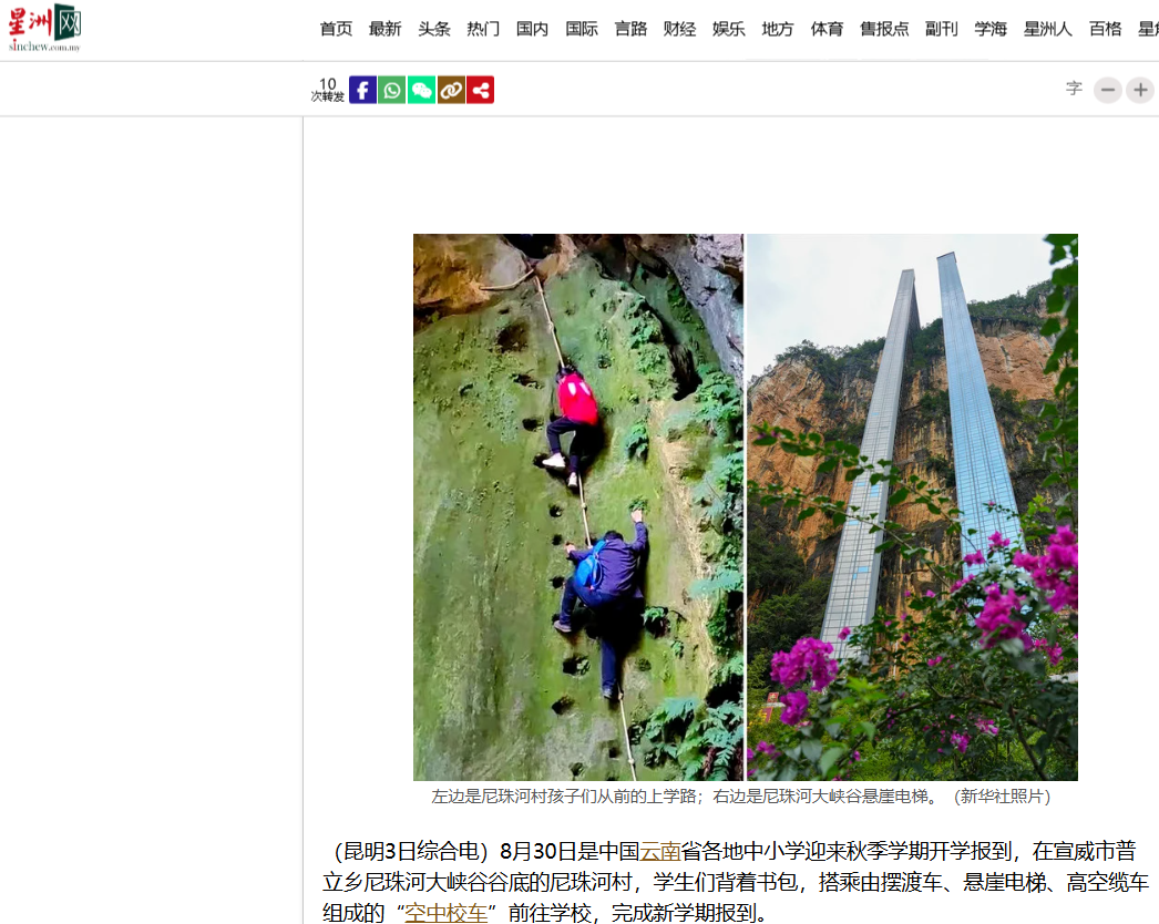 星洲网报道截图。