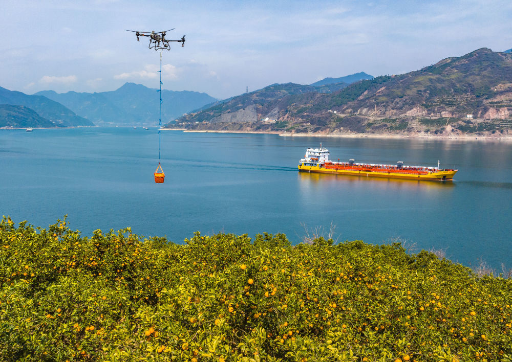 2025年3月17日,湖北省秭归县郭家坝镇邓家坡村村民用无人机转运脐橙(无人机照片)。新华社发(郑家裕摄)