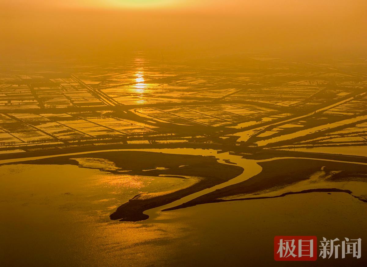 大地绘羽蜗牛.jpg