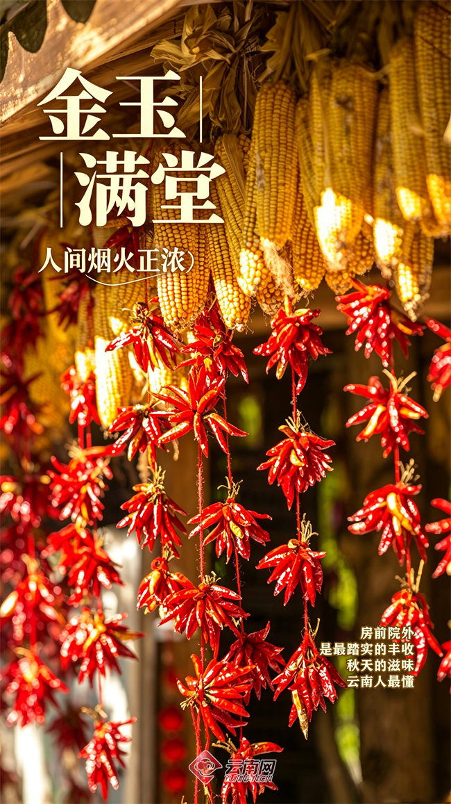 秋天视觉海888报设计_副本.png