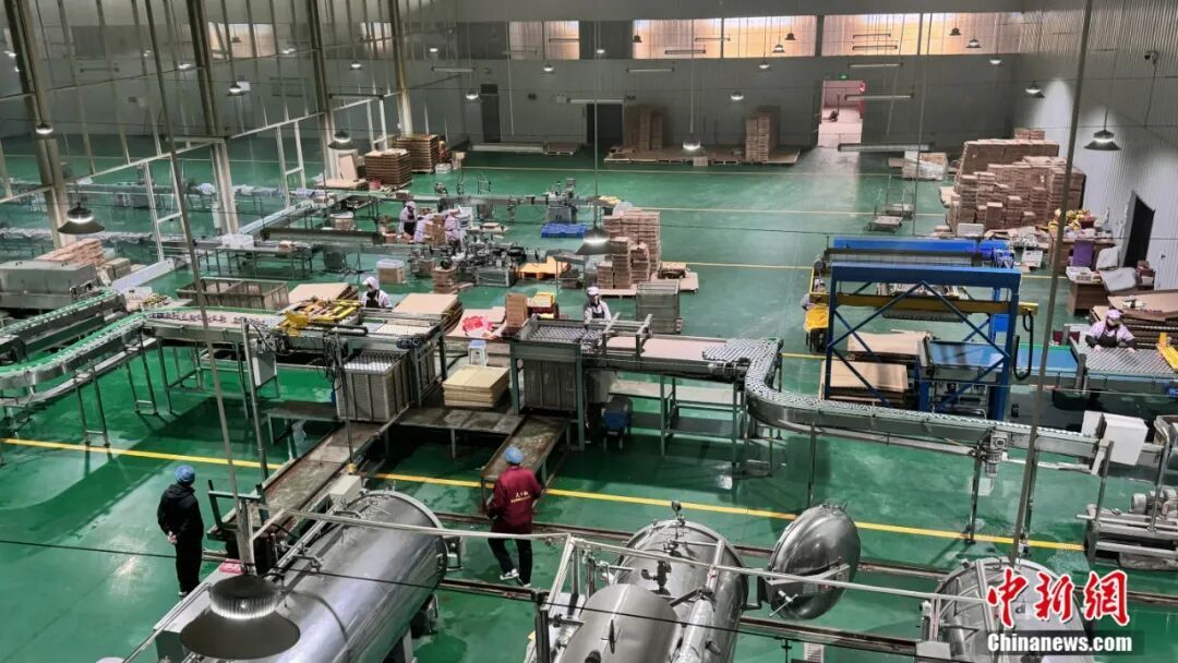 图为鸡泽县天下红辣椒有限公司全自动灌装生产线。 中共鸡泽县委宣传部供图