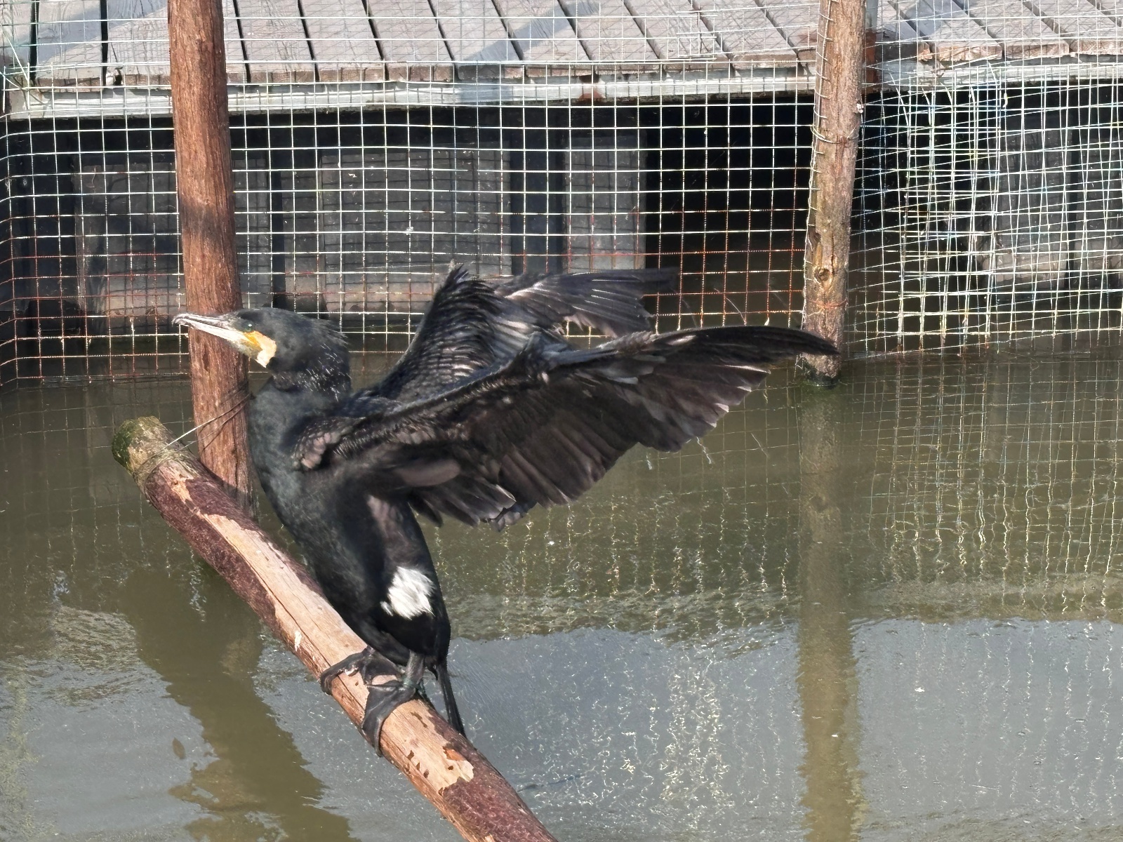 微信图片_20260330143614_1752_345