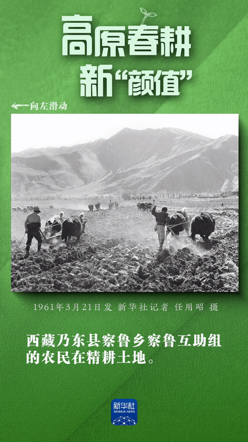 高原春耕新“颜值”