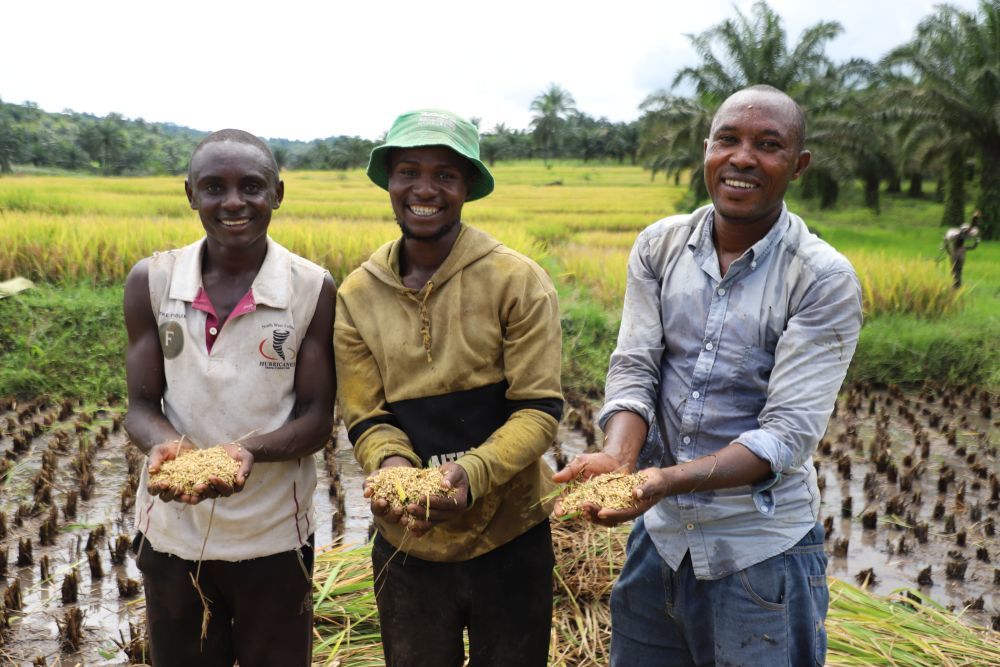 3月25日，在布隆迪布琼布拉省姆潘达县，当地农业技术员麦乐斯（右）与附近农户们手捧刚刚收获的稻粒。新华社记者 鞠银河 摄