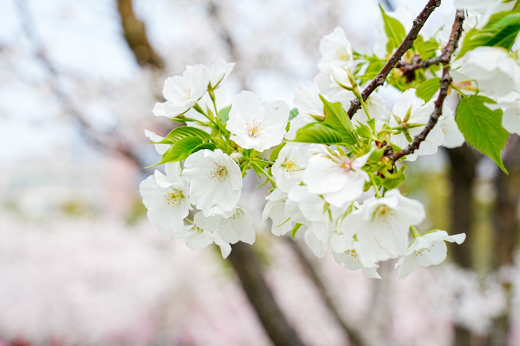 微信图片_20260327214440_1767_137