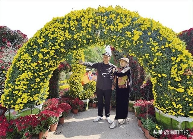 菊香四溢