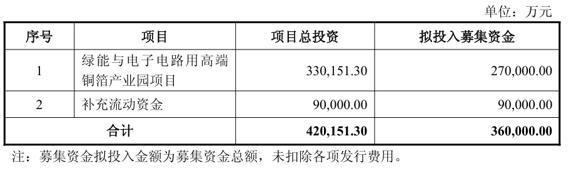 铜箔产业园项目募资投向明细页面