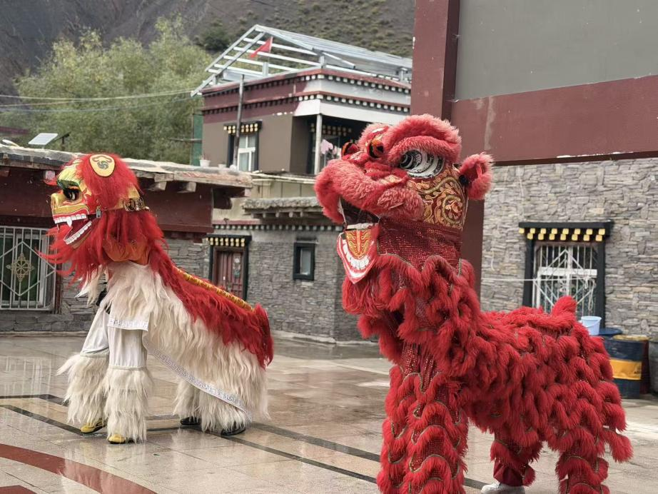 图为硕督狮子舞现场展演。罗雨欣摄