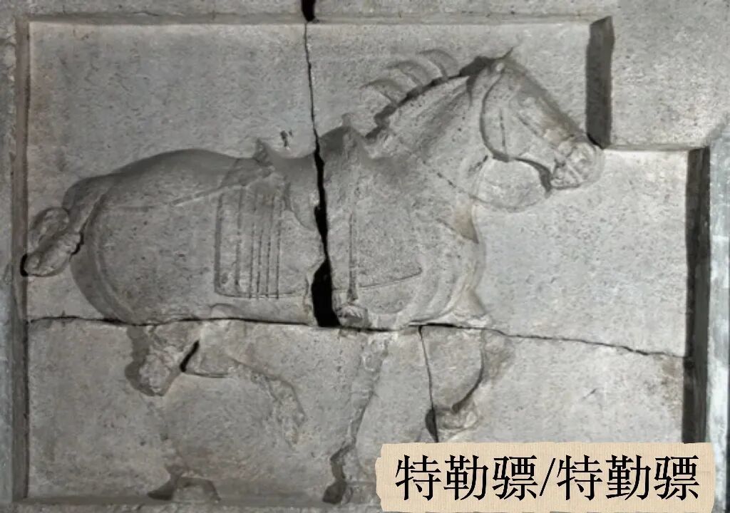 为什么马到了就会成功?