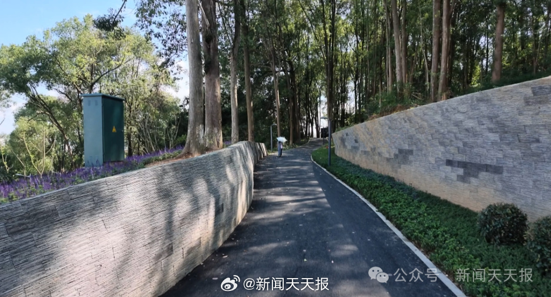 【爬山、遛娃、看美景！乐山这个公园升级归来，周末约起~】对很多犍为人