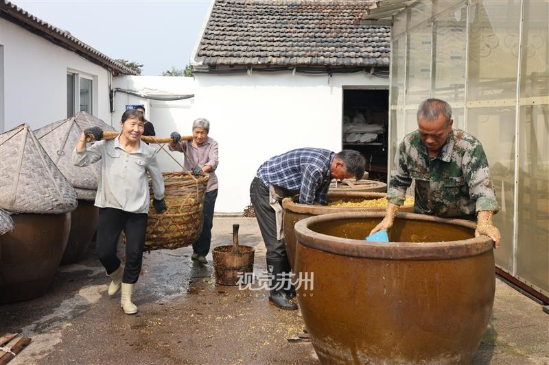 金秋十月，桂花飘香。10月13日，吴中区光福窑上蜜饯厂开启糖桂花古法制作。工人精心遴选鲜桂花，细致腌渍，把这份秋日限定桂香封存入罐，留住江南秋的甜香。
