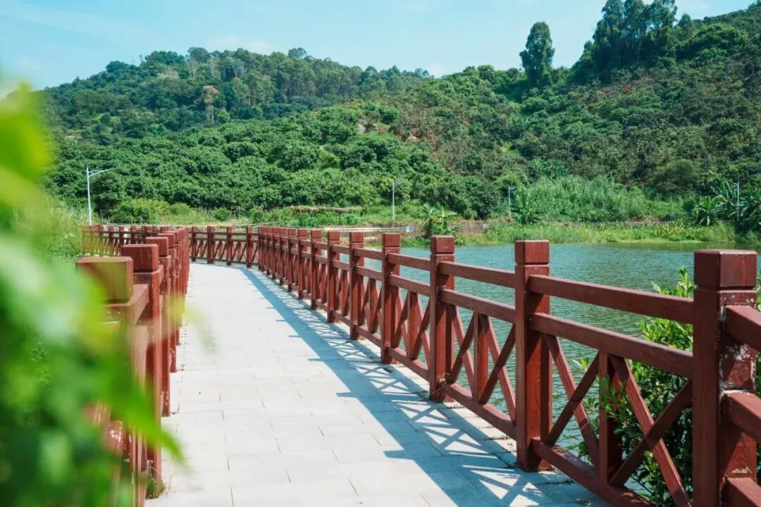 大山乸.jpg