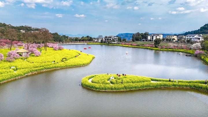 重庆市巴南区二圣镇云林天乡景区，游客畅游在花海中，感受浪漫春日。方霞摄