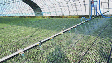 春耕图里有“新”意 绘就生产好“丰”景