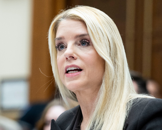 邦迪 资料图 图源：IC photo