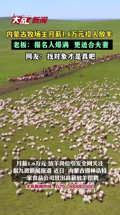 内蒙古牧场主月薪16000万招人放羊，老板：报名人数爆满 更适合夫妻 ，网友：找对象才是真吧