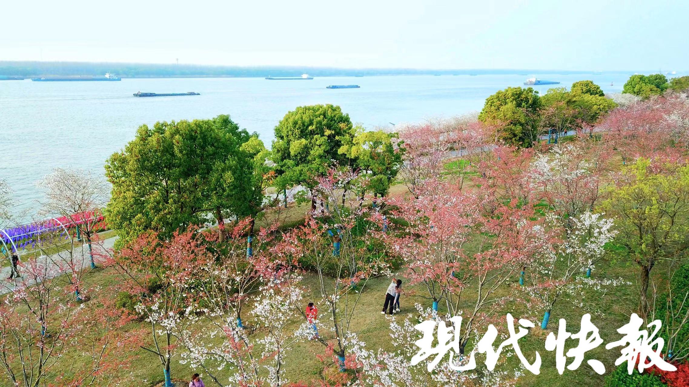 幕燕滨江征象带