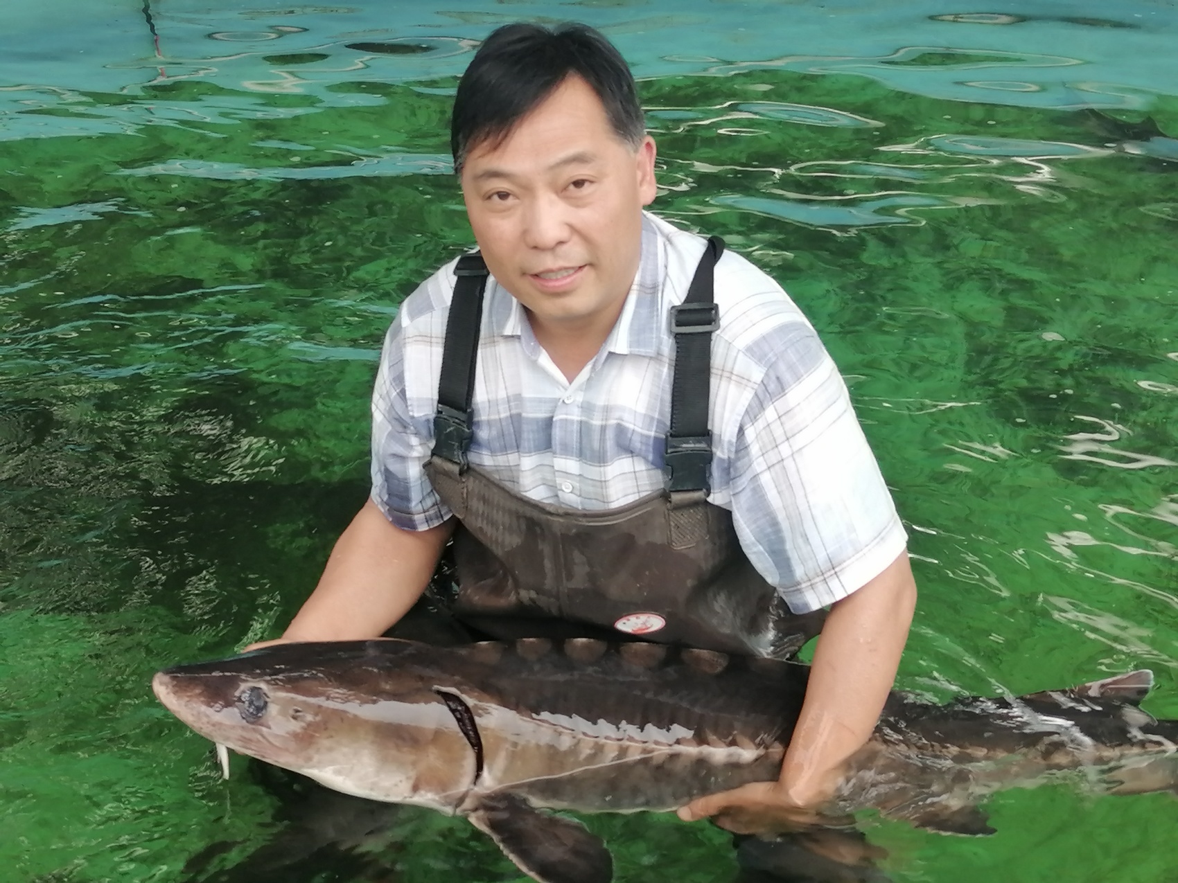 宜宾珍稀水生动物研究所所长周亮与长江鲟的合影。周亮供图