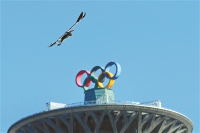 候鸟在奥林匹克森林公园南园上空飞过