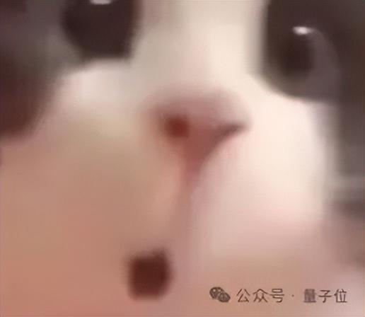 黄仁勋:不玩𝕏是我太内向,现在为AI必须站出来