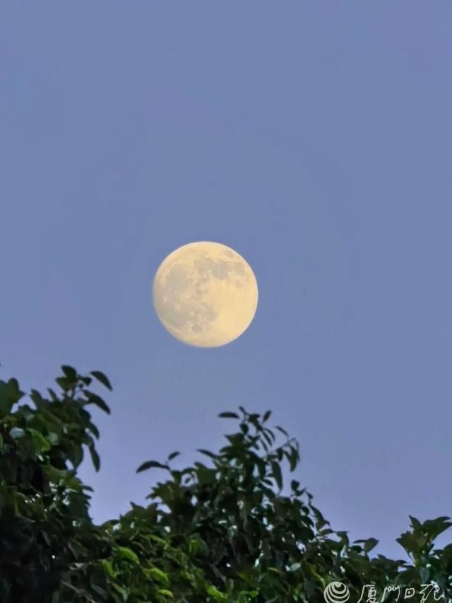 厦门日报拍客 爱与梦 摄