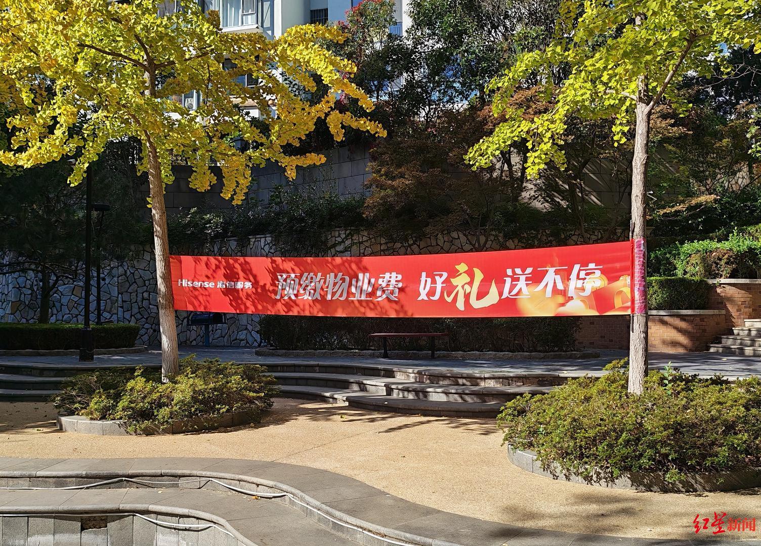 2026年10月27日,青岛,一小区内悬挂“预缴物业费 好礼送不停”的条幅。.jpg