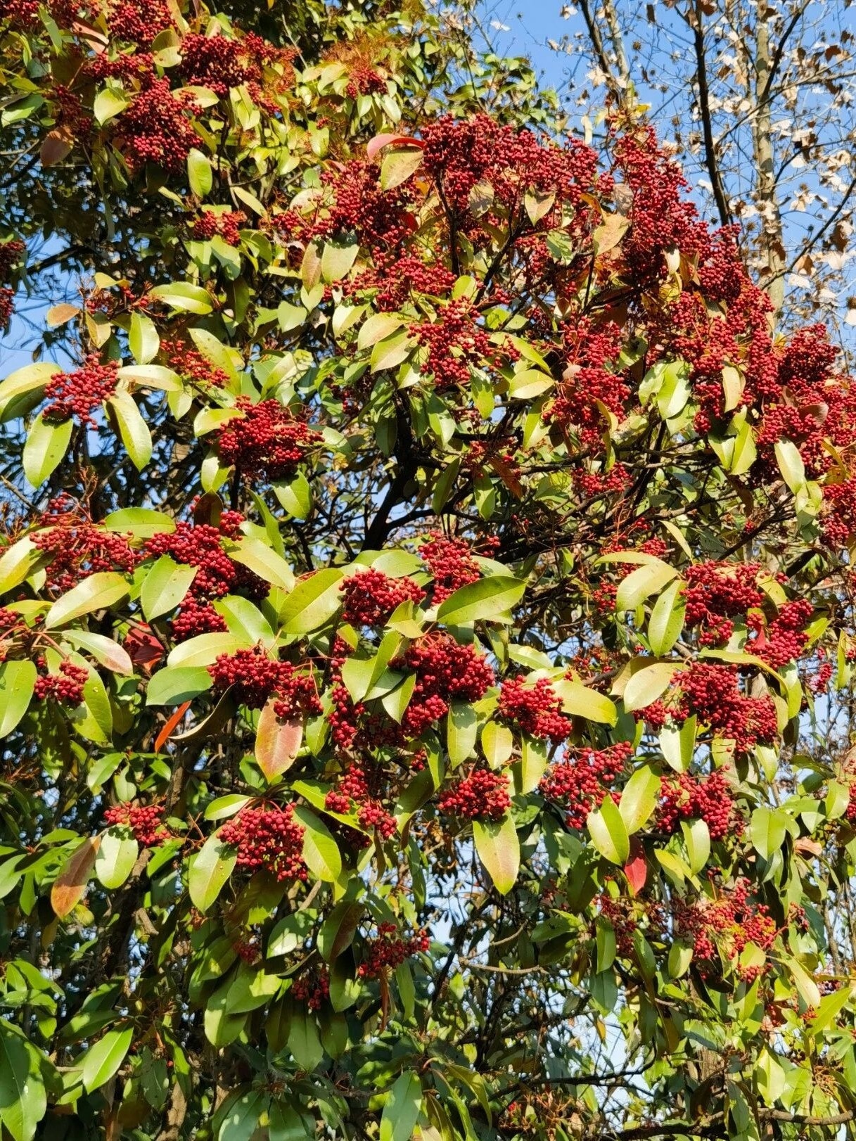 微信图片_2026-03-31_014806_791