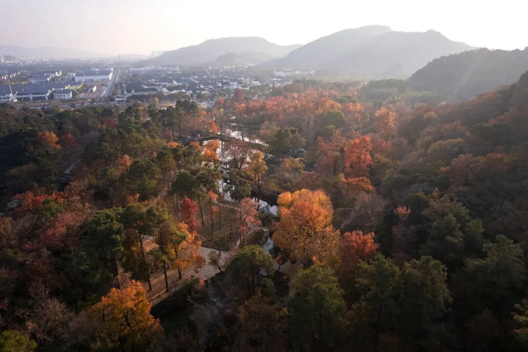 摄图网_700009053_苏州天平山秋天秋景(企业商用).jpg