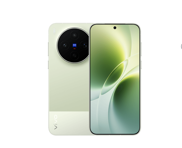 vivo X300s