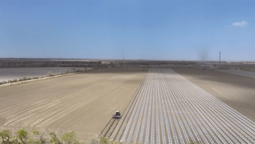 春耕图里有“新”意 绘就生产好“丰”景
