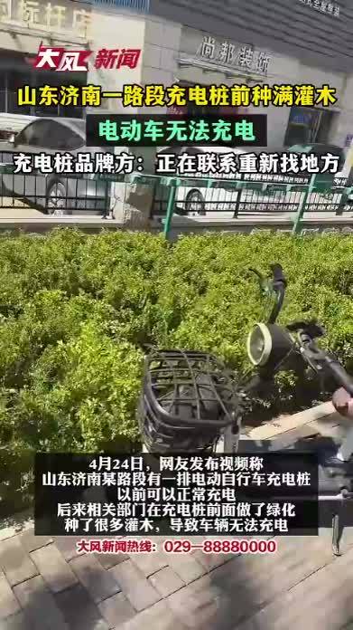 山东济南一路段充电桩前种满灌木，电动车无法充电，充电桩品牌方：正在联系重新找地方
