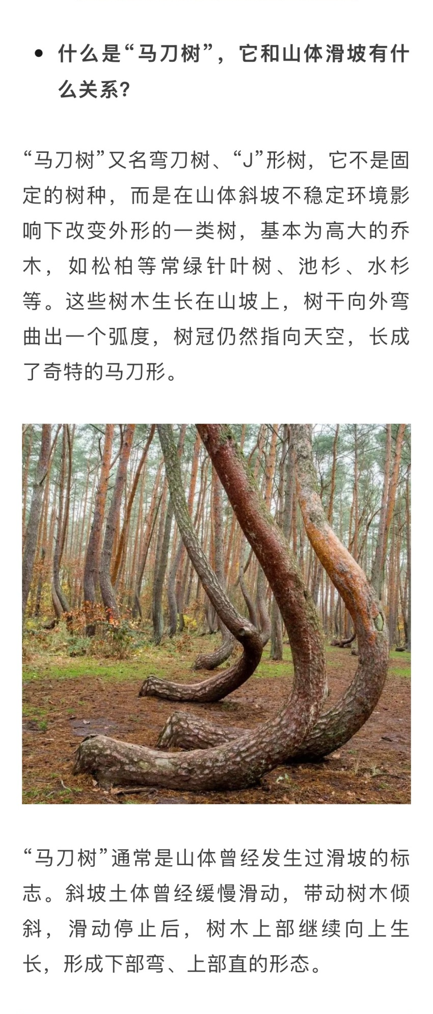 a51011a45164437c894afe8b244eb14.jpg
