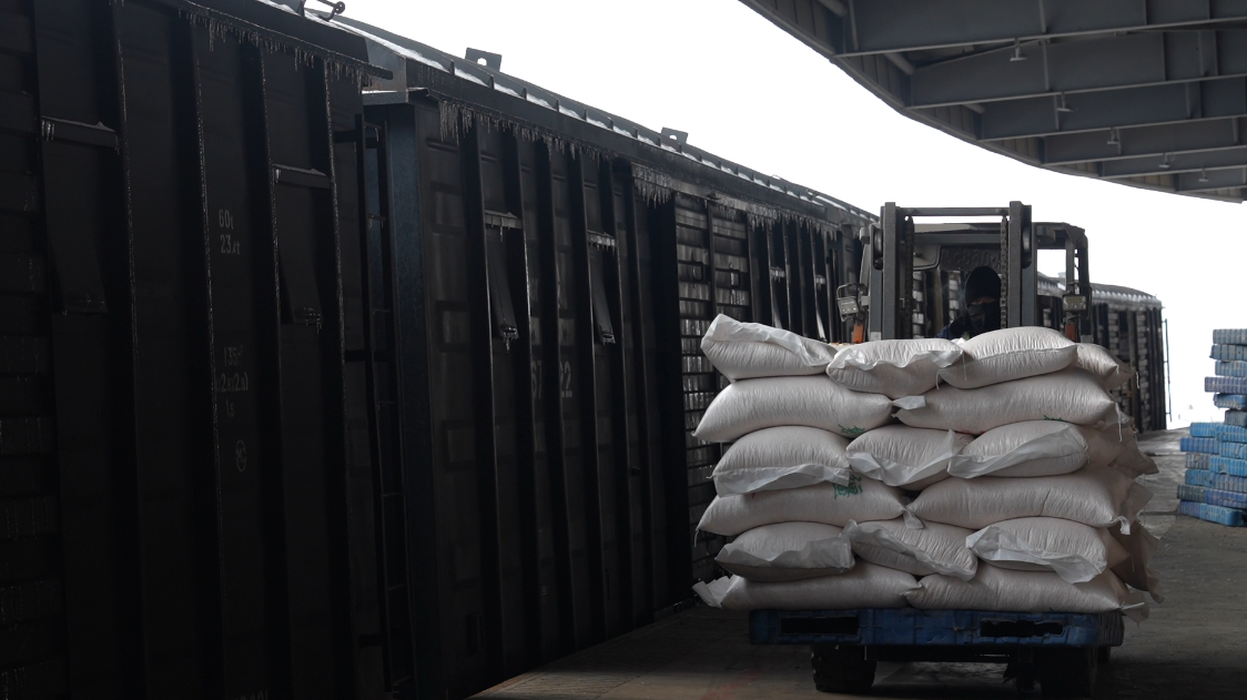 中欧班列（乌鲁木齐）集结中心内，铁路作业人员正在进行粮食装车作业。 梁云皓 摄