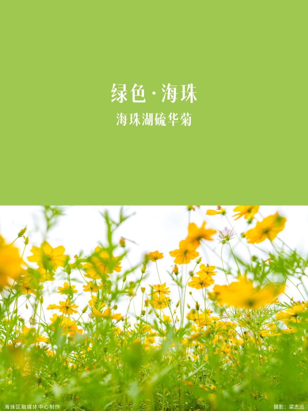 微信图片_20260921142739_4965_25.png