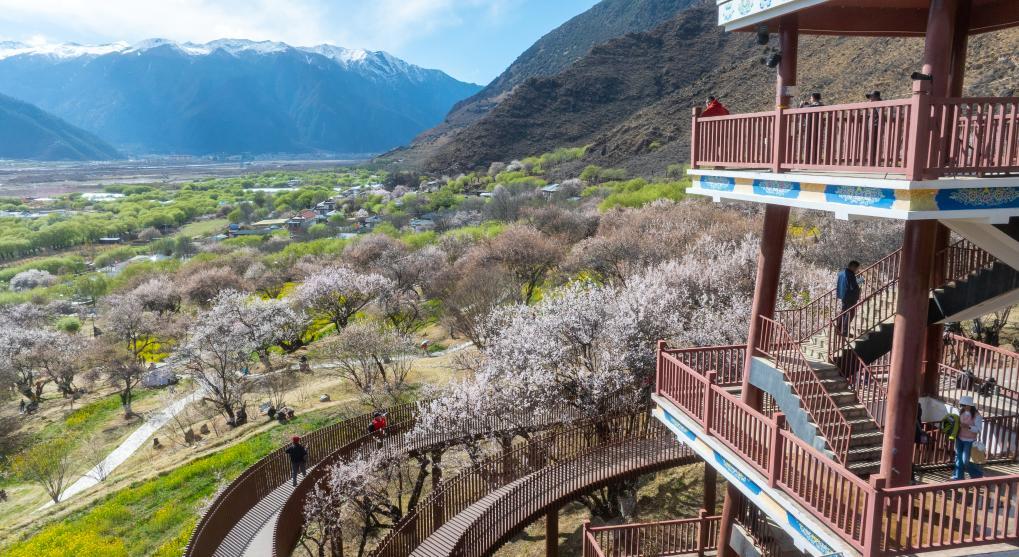 林芝市巴宜区嘎拉村风景。 新华社记者 丁增尼达 摄